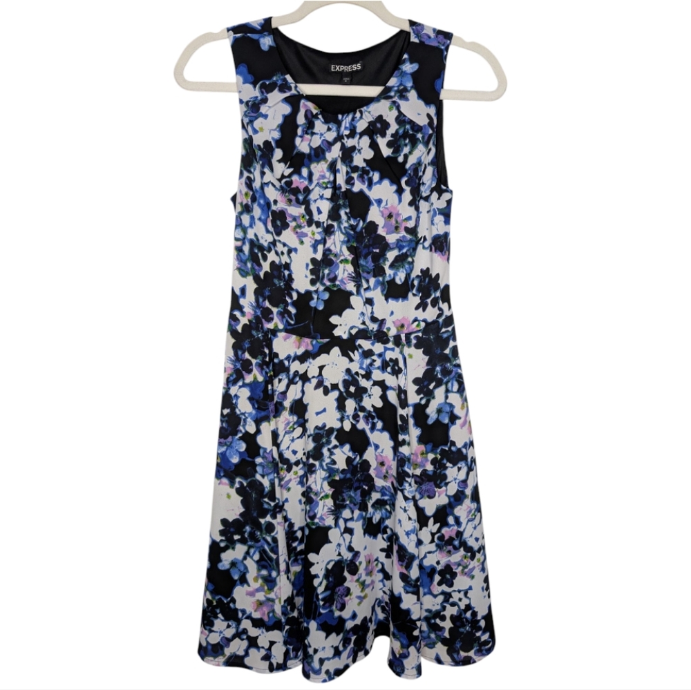 Express Dress Size 4
